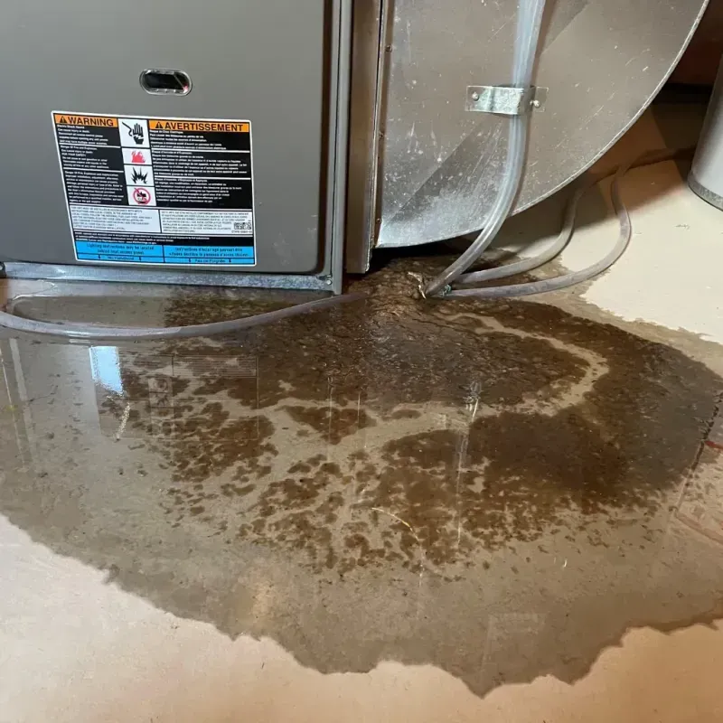 Appliance Leak Cleanup in Machesney Park, IL